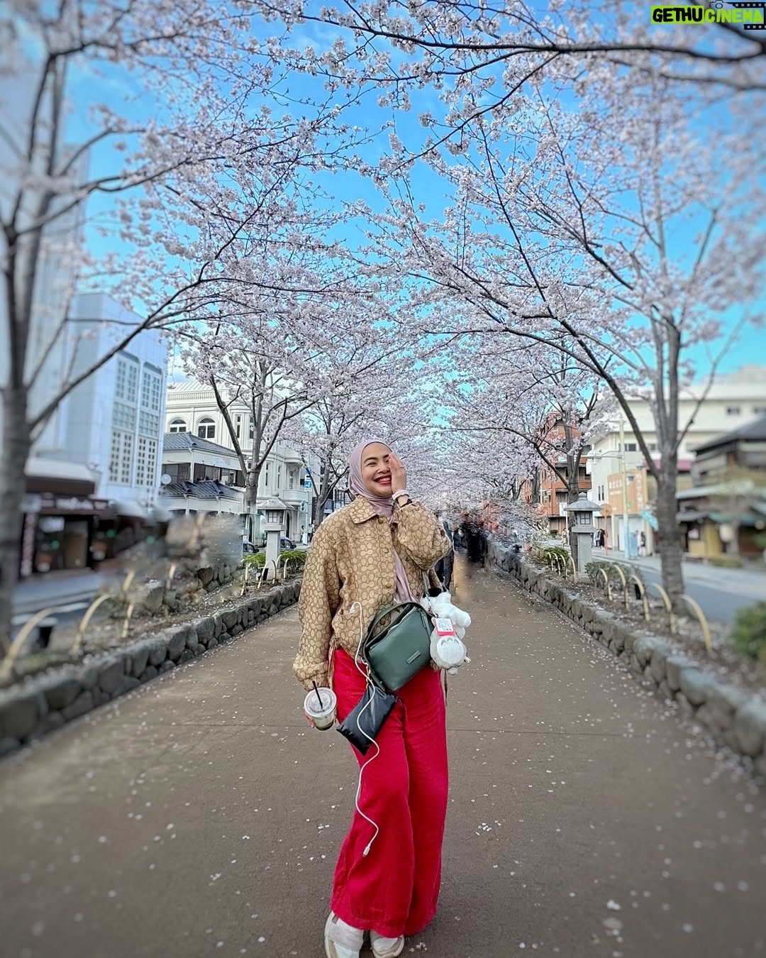 Feni Rose - 1.6K Likes - Bunga bungaa di mana mana .. Kamakura Japan.