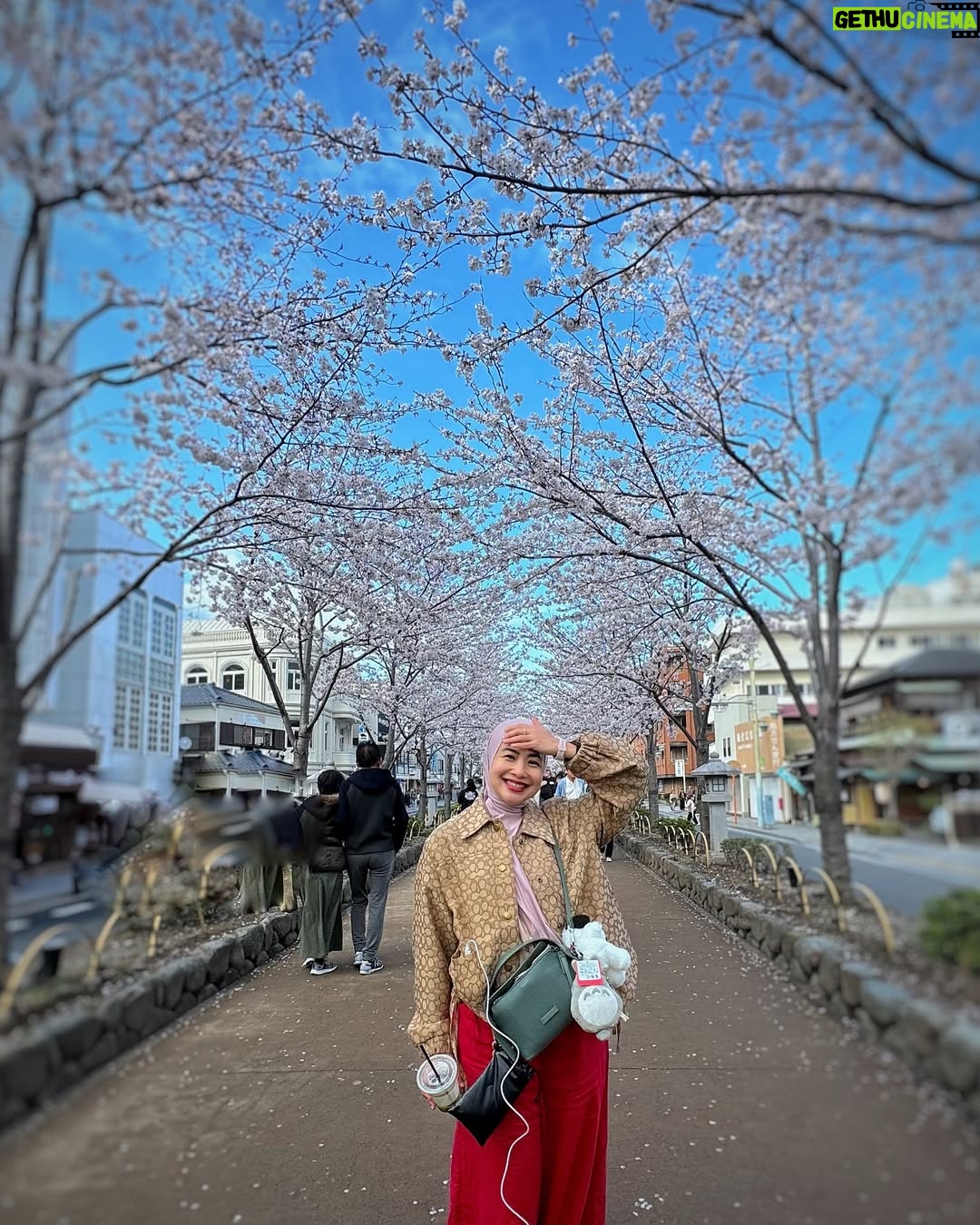 Feni Rose - 1.6K Likes - Bunga bungaa di mana mana .. Kamakura Japan.