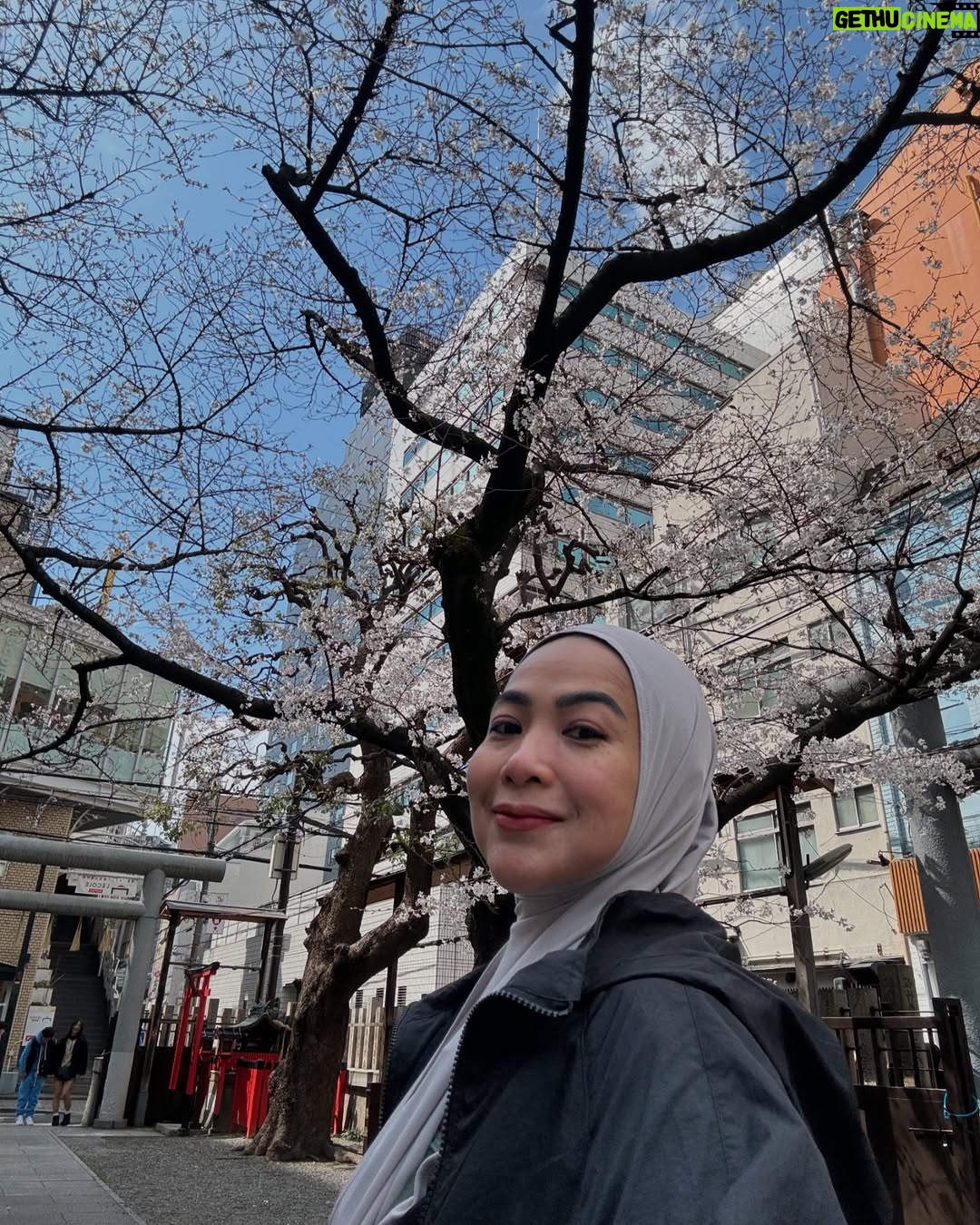 Feni Rose - 3.4K Likes - Memulai hari siang bgt, karena ibuk sedikit keram perut dan kontraksi. lgs menuju Big Step tempat bbrp toko baju2 second .. lalu ibuk mulai laper gemeter kedinginan ( lebay mode) .. habis makan kita nyangkut di toko kosmetik vitamin dll dst.. sampe pegel. Sebelum pulang, nyobain kue cubit isi keju molor. Enak jugak.. perpaduan manis asin. Perjalanan kali ini hampir 10.000 langkah.. o iya.. di sini hampir mekar sakuranya.. dan udaranya dingin sejuk, bikin laper dan ingin goler2.