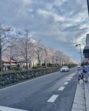 Feni Rose Instagram - Bunga bungaa di mana mana .. Kamakura Japan.