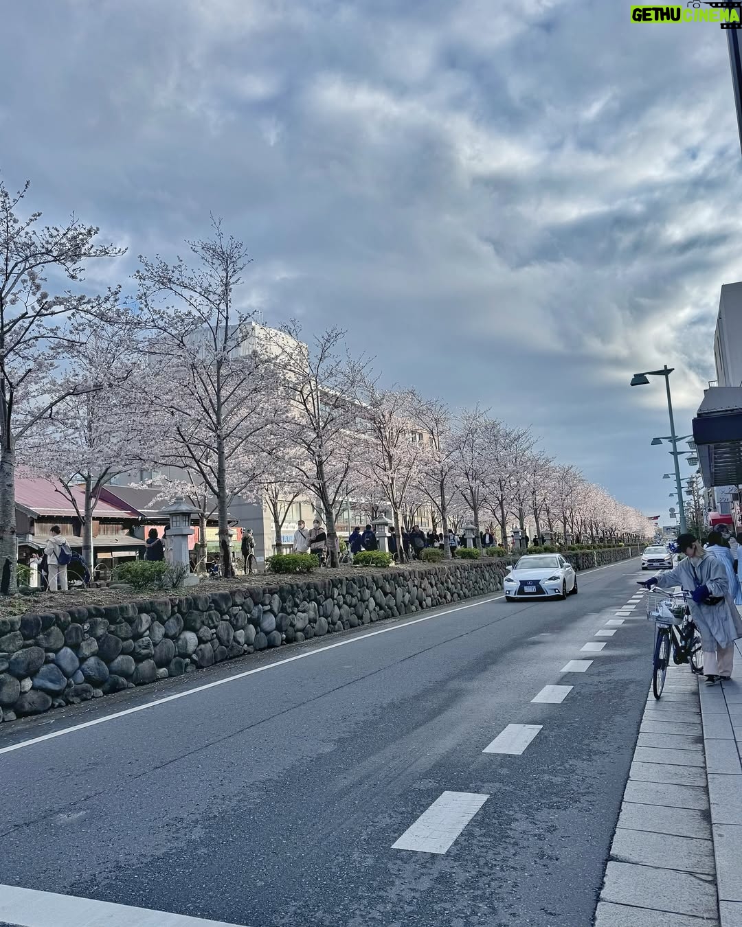 Feni Rose - 1.6K Likes - Bunga bungaa di mana mana .. Kamakura Japan.