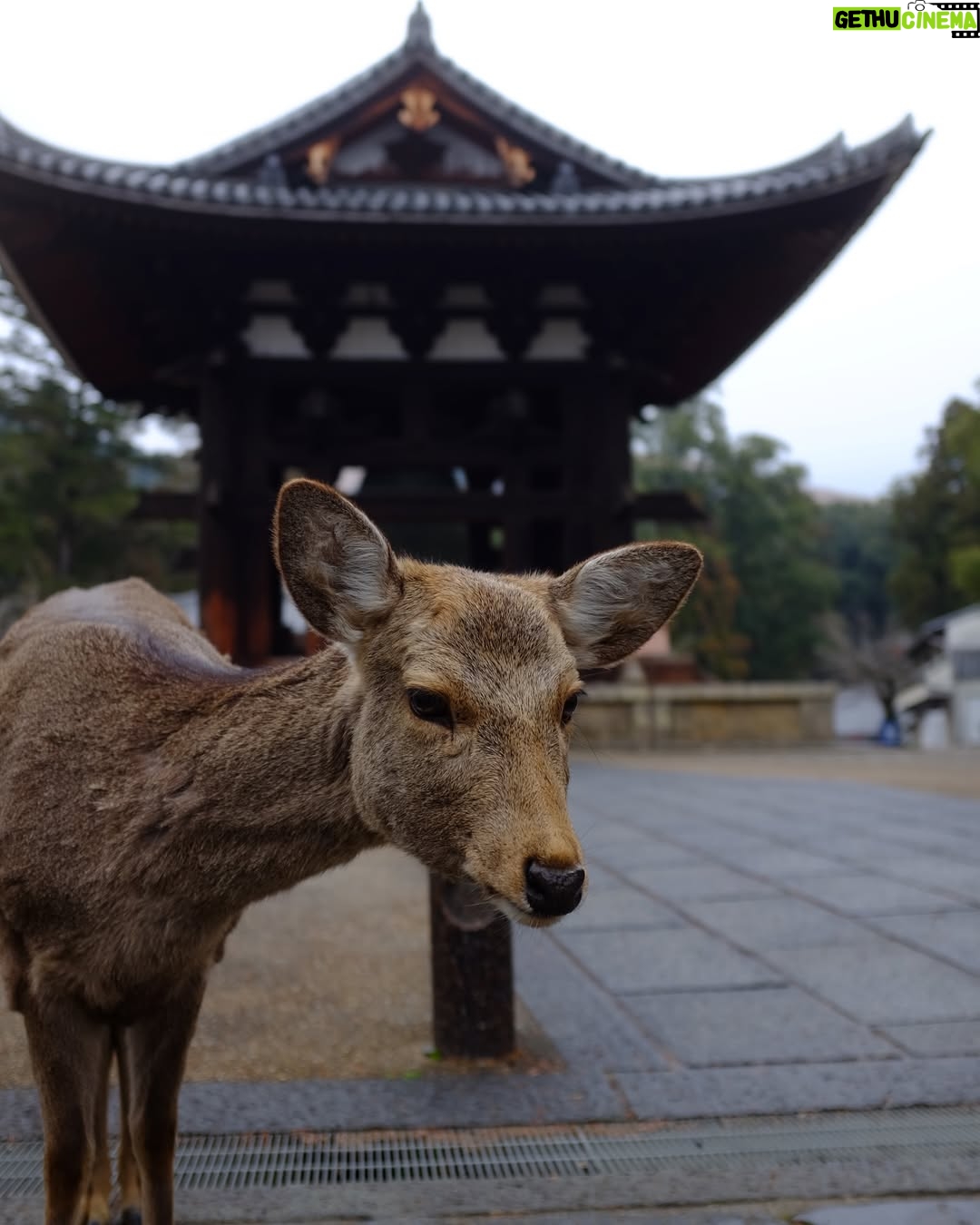 Geraldine Kemper - 3 Likes - Japan 🇯🇵