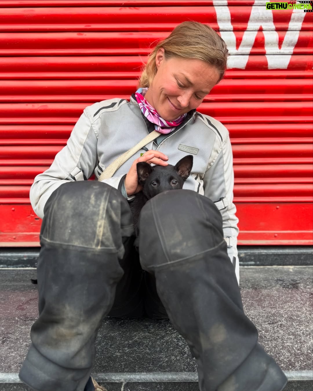 Geraldine Kemper - 3 Likes - Hier wat fijne platen van ons eerste deel motorrijden door India. ♥️🌴🏍️
Op een Royal Enfield Himalayan.
Door de staat Karnataka.
Ik zal hier binnenkort een reel posten en onze roadtrip wat preciezer uitleggen.
Maar..
Het is genieten in de chaos van India 😍