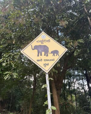 Geraldine Kemper Instagram - Hier wat fijne platen van ons eerste deel motorrijden door India. ♥️🌴🏍️
Op een Royal Enfield Himalayan.
Door de staat Karnataka. 

Ik zal hier binnenkort een reel posten en onze roadtrip wat preciezer uitleggen. 
Maar.. 
Het is genieten in de chaos van India 😍