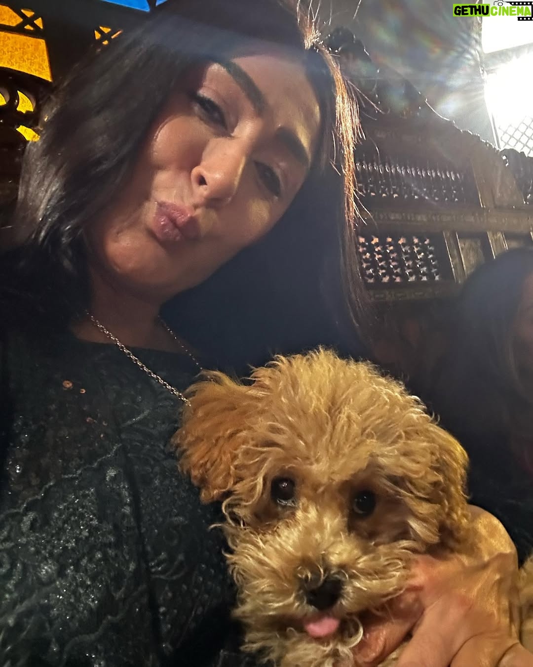 Ghada Abdel Razek - 3 Likes - شباب أمرأه ❤️❤️❤️❤️…. @yasmineeissa .. @zeinaelnaggar .. @amr.wahbaaa .. @yousseffomar1 .. @ahmedhassan.director .. 🙏🏻🙏🏻🙏🏻🙏🏻🙏🏻🙏🏻🙏🏻🙏🏻🙏🏻🙏🏻… @ashraf_gaberr @mohamed_soliman86 🙏🏻 .. @jorybakrofficial 🙏🏻