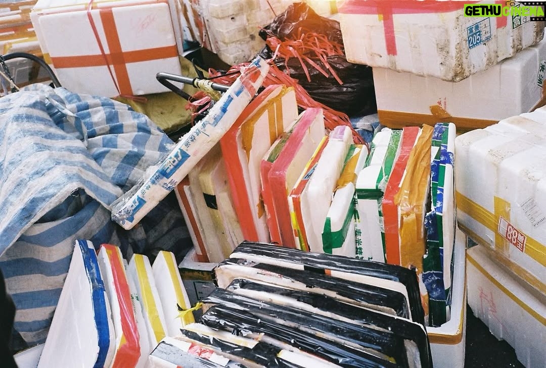 Gingle Wang - 129.7K Likes - :
活了27年第一次知道自己蛋黃過敏