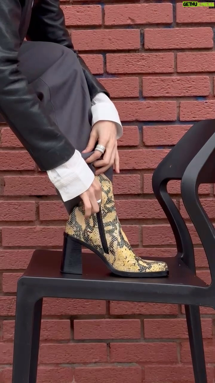 Gisselle Kuri - 855 Likes - Ellona la botona 👢
