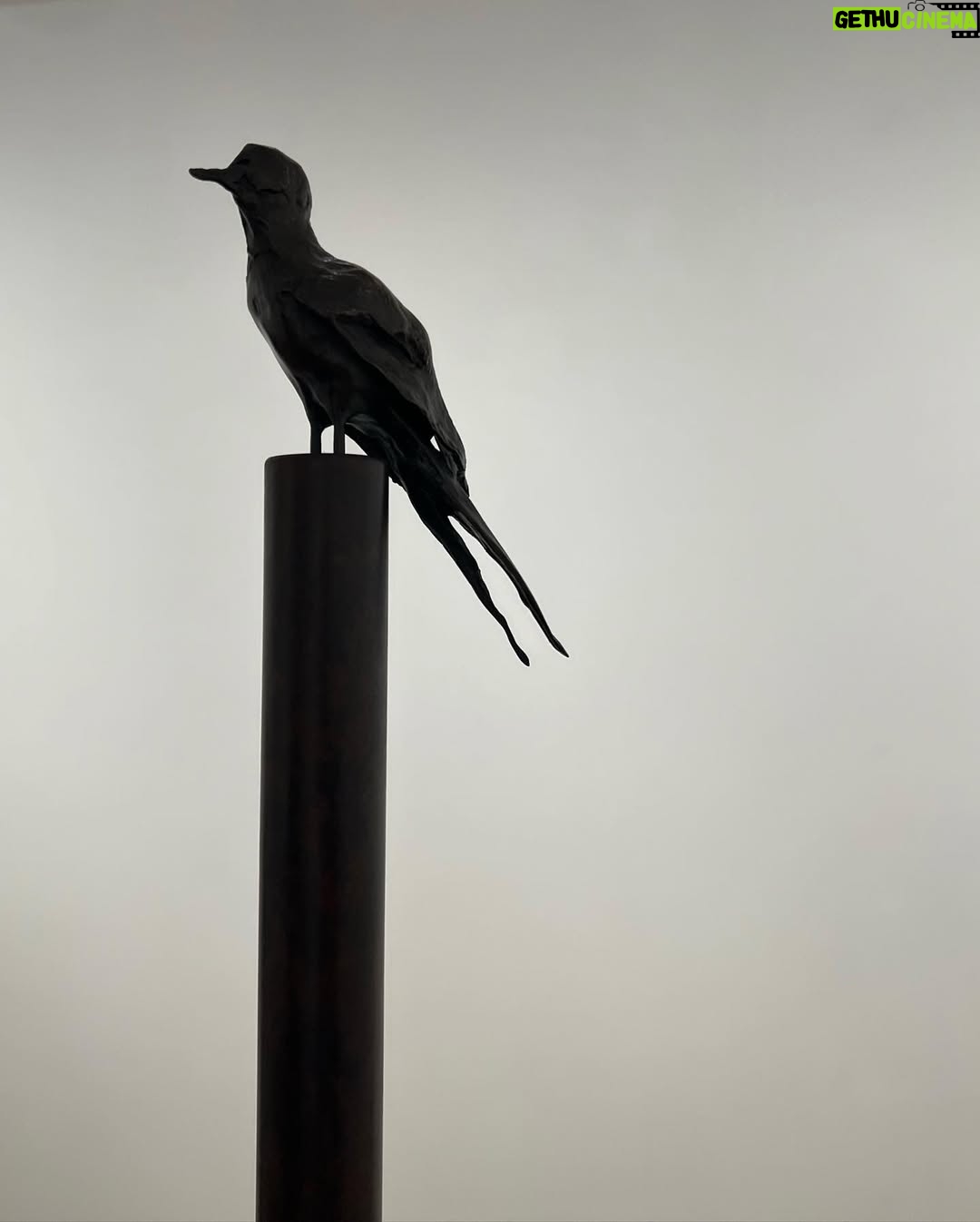 Gwendoline Christie - 120.6K Likes - RARA AVIS! Congratulations @jerry_stafford on your soaring exhibition @whitecube Paris! 🪶✨
A beautifully curated selection of works by artists such as @traceyeminstudio and @_leonorfini_ @robgmacfarlane , focused on a lifelong fascination with BIRDS.
‘Birds are performance artists, shapeshifters, global ambassadors, messengers between worlds, musical maestros and biological miracles whose often evasive or half glimpsed presence and significance underscores not only our daily lives but also our subconscious wanderings.’
Thank you @schiaparelli and Socrates @lebristolparis 🦜◻️🕊