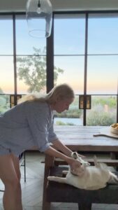 Actress Gwyneth Paltrow HD Photos and Wallpapers September 2025