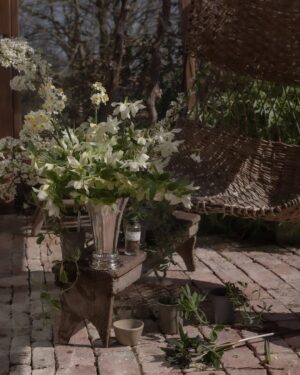 Haley Bennett Instagram - My garden in spring.

I’m leaving for LA tomorrow for six weeks of work, but before I go, I wanted to share a little moment of celebration. I’ve spent the past month preparing the garden, planting, pruning, waiting, and now, the first signs of spring are beginning to bloom.

Gardening grounds me. It nourishes me. It reminds me to slow down and notice the beauty in small things.

On this UK Mother’s Day, I’m honoring the divine feminine, the spirit of Mother Nature, the mother in me, and the mother in you.

These photographs were made in collaboration with dreamy Hana Snow @hana.snow , using flowers I gathered from our garden, an offering to the season.

 #SpringAwakening #MotherNature #MothersDay #FemaleDivine #InBloom #GardenRituals #MadeWithLove