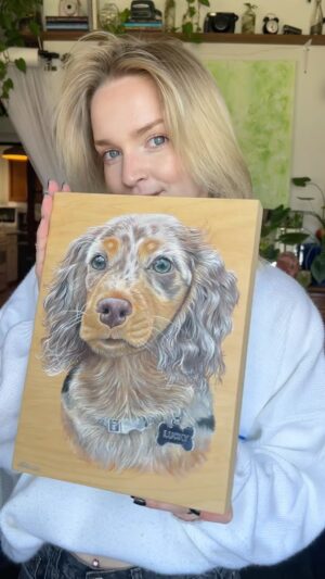 Hallea Jones Instagram - My most detailed portrait to date. Lucky has such beautiful colours throughout his coat and I just couldn’t get over how beautiful his eyes are. 

#petportrait #portrait #petpainting #paintedportrait #petsofinstagram #dauschundsofinstagram #australianshepherdworld #puppy #puppypainting #halleajones #petlovers #doglover #dogsofinstagram