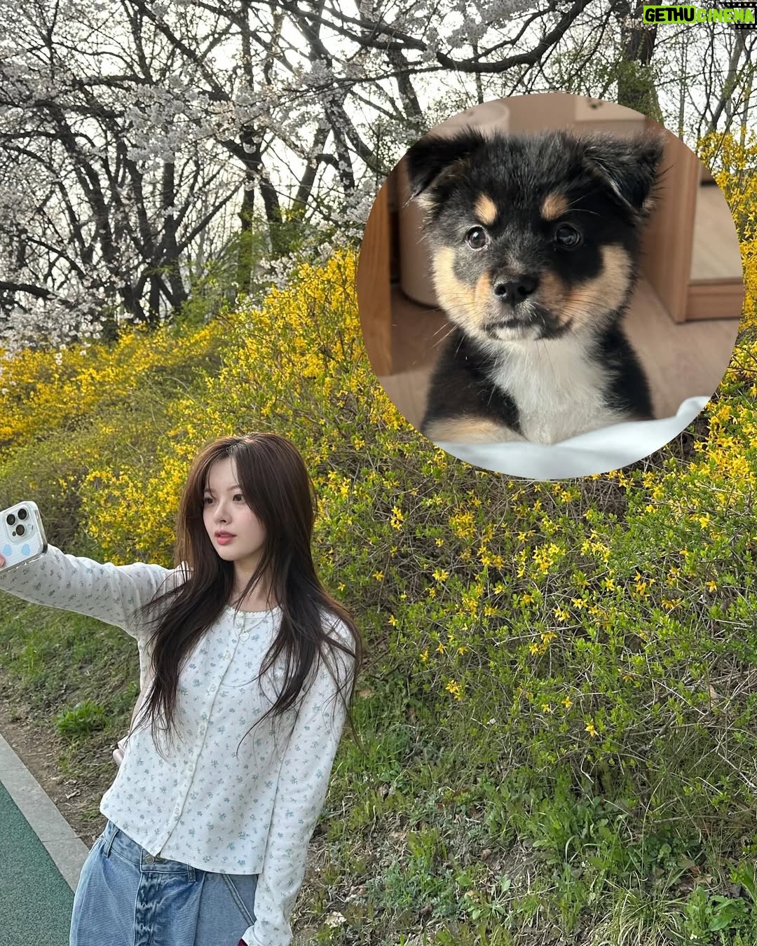 Han Su-ah - 63K Likes - 🌸🌷🌼💗💭💡