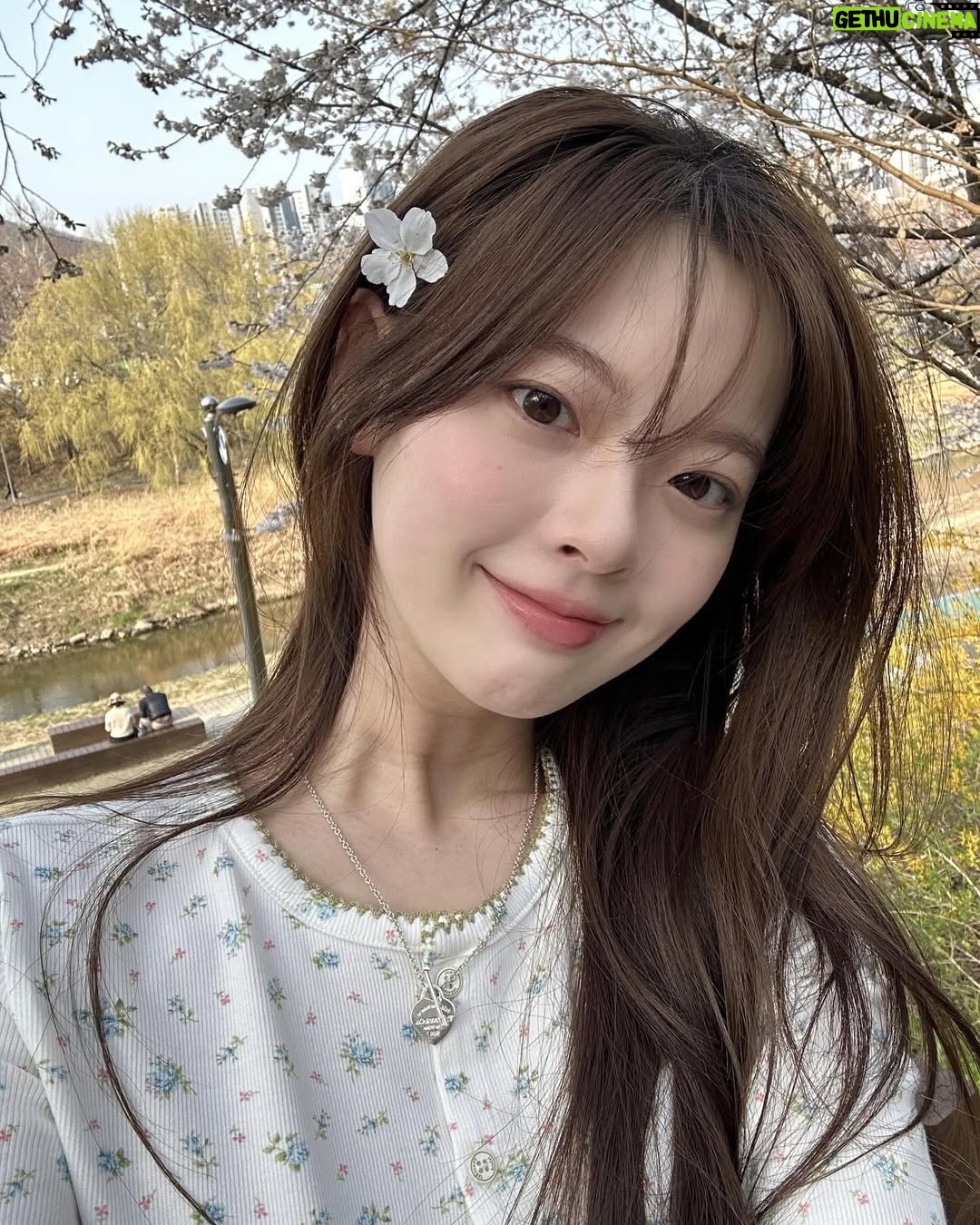 Han Su-ah - 63K Likes - 🌸🌷🌼💗💭💡