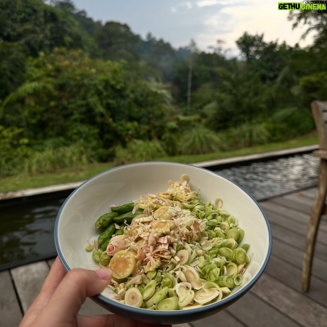 Hannah Al Rashid - 11.3K Likes - Tangkahan, thank you! 🤍✨
First time doing a big family trip since we were kids 🥹
So many wonderful memories made, truly in awe of Allah’s creation, Subhanallah. The way every stress evaporated from my mind the minute we arrived. To wake up to the sounds of the jungle, the river, the torrential rain…the endless laughter of this bonkers family.
Forever grateful.
Thank you @terrariotangkahan and all our Abangs there for looking after us so well 🫶🏼 Makasih juga kaks @andifyahya
#goblokglam