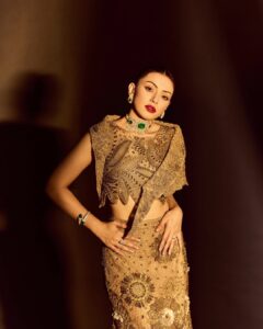 Actress Hansika Motwani HD Photos and Wallpapers March 2025