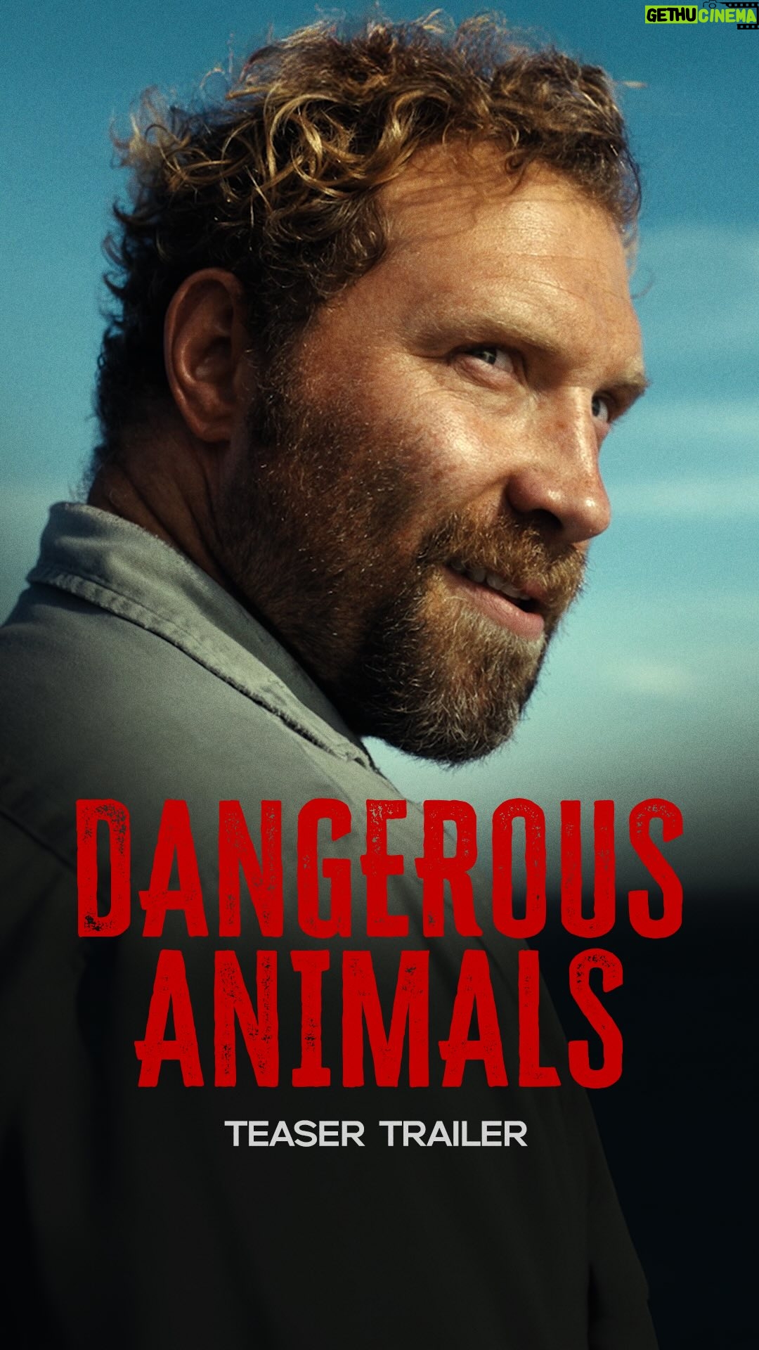 Hassie Harrison - 49K Likes - Trust us, you’re safer in the water. #DangerousAnimals premieres June 6.
