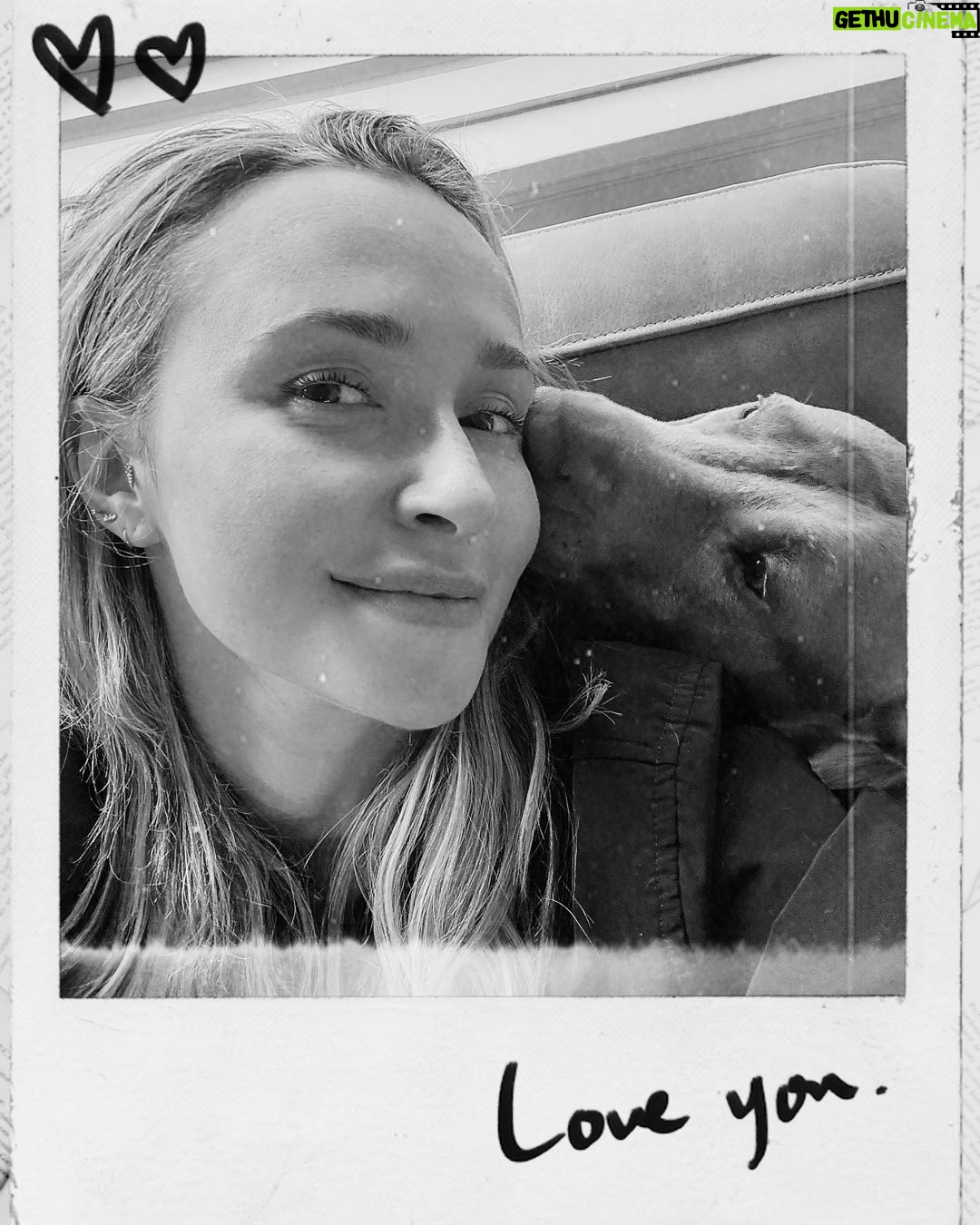 Hayden Panettiere - 19.9K Likes - My new bestie. #animallover