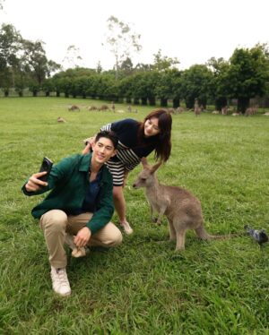 He Ying Ying Instagram - back in our comfort zone 🐨🦘🇦🇺⁣
⁣
we got to pat a koala! and feed kangaroos! and saw so many magnificent and adorable Australian animals at @lonepinekoala, the world’s first and largest koala sanctuary home to 120 koalas 🤩 ⁣
⁣
too much cuteness in one day - can’t wait to show you guys the videos we took there for #YAYSeason2 🤎⁣
⁣
@visitbrisbane ⁣
@queensland