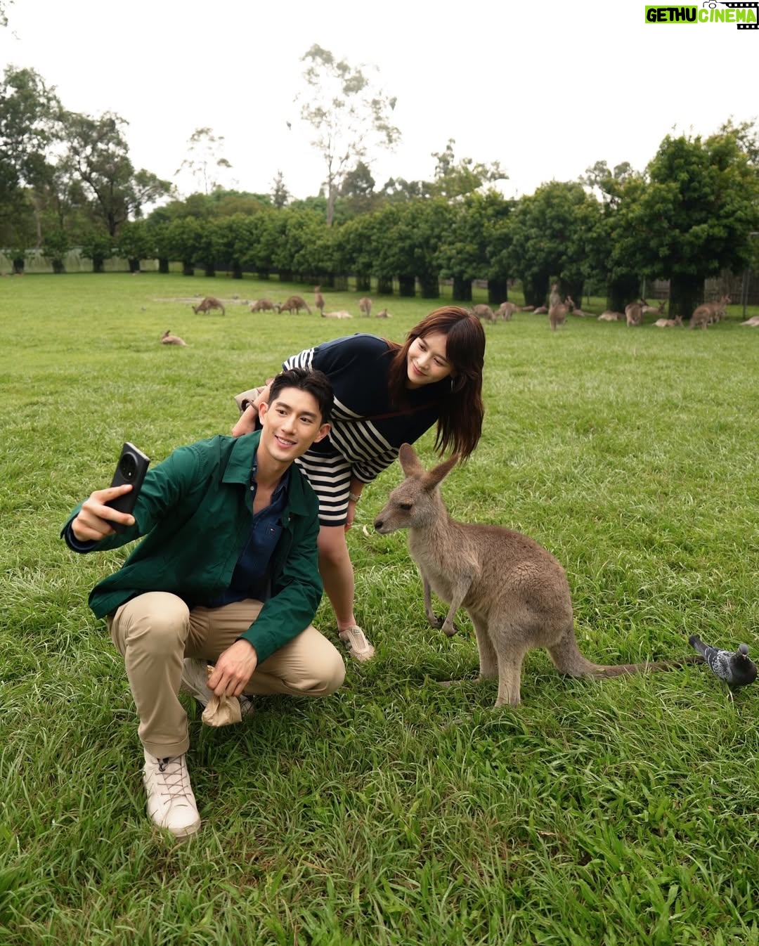 He Ying Ying - 4.5K Likes - back in our comfort zone 🐨🦘🇦🇺
we got to pat a koala! and feed kangaroos! and saw so many magnificent and adorable Australian animals at @lonepinekoala, the world’s first and largest koala sanctuary home to 120 koalas 🤩
too much cuteness in one day - can’t wait to show you guys the videos we took there for #YAYSeason2 🤎
@visitbrisbane
@queensland