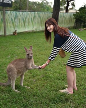 He Ying Ying Instagram - back in our comfort zone 🐨🦘🇦🇺⁣
⁣
we got to pat a koala! and feed kangaroos! and saw so many magnificent and adorable Australian animals at @lonepinekoala, the world’s first and largest koala sanctuary home to 120 koalas 🤩 ⁣
⁣
too much cuteness in one day - can’t wait to show you guys the videos we took there for #YAYSeason2 🤎⁣
⁣
@visitbrisbane ⁣
@queensland