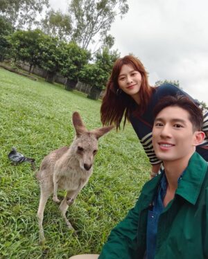 He Ying Ying Instagram - back in our comfort zone 🐨🦘🇦🇺⁣
⁣
we got to pat a koala! and feed kangaroos! and saw so many magnificent and adorable Australian animals at @lonepinekoala, the world’s first and largest koala sanctuary home to 120 koalas 🤩 ⁣
⁣
too much cuteness in one day - can’t wait to show you guys the videos we took there for #YAYSeason2 🤎⁣
⁣
@visitbrisbane ⁣
@queensland
