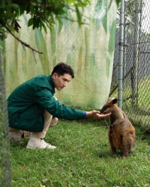 He Ying Ying Instagram - back in our comfort zone 🐨🦘🇦🇺⁣
⁣
we got to pat a koala! and feed kangaroos! and saw so many magnificent and adorable Australian animals at @lonepinekoala, the world’s first and largest koala sanctuary home to 120 koalas 🤩 ⁣
⁣
too much cuteness in one day - can’t wait to show you guys the videos we took there for #YAYSeason2 🤎⁣
⁣
@visitbrisbane ⁣
@queensland