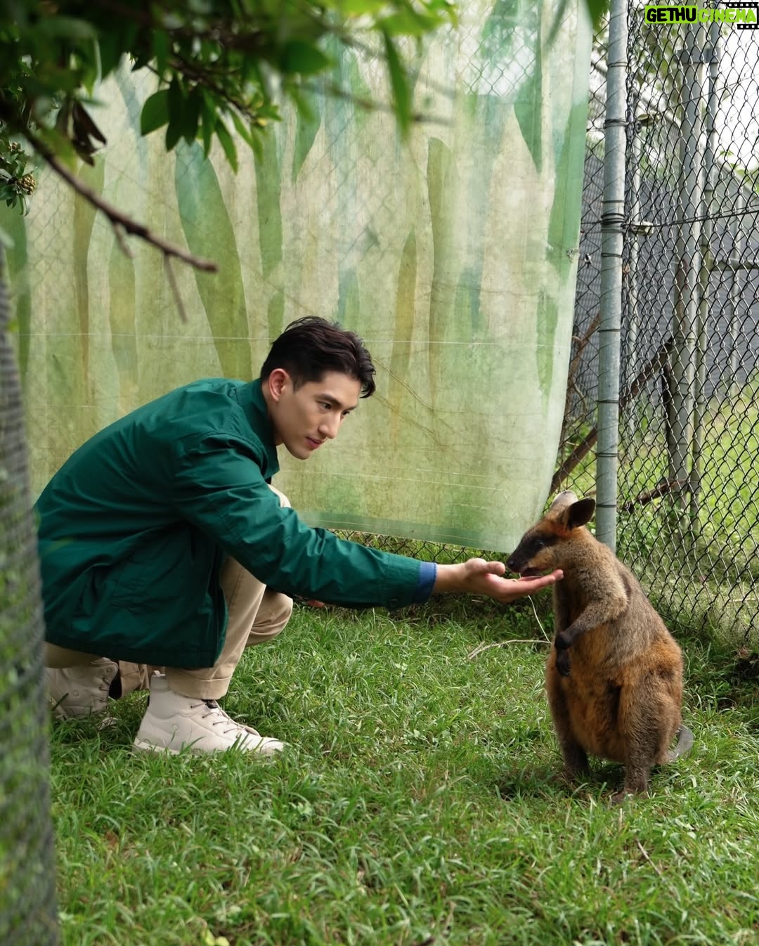 He Ying Ying - 4.5K Likes - back in our comfort zone 🐨🦘🇦🇺
we got to pat a koala! and feed kangaroos! and saw so many magnificent and adorable Australian animals at @lonepinekoala, the world’s first and largest koala sanctuary home to 120 koalas 🤩
too much cuteness in one day - can’t wait to show you guys the videos we took there for #YAYSeason2 🤎
@visitbrisbane
@queensland