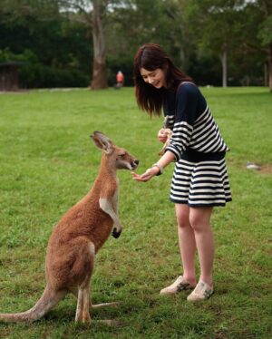 He Ying Ying Instagram - back in our comfort zone 🐨🦘🇦🇺⁣
⁣
we got to pat a koala! and feed kangaroos! and saw so many magnificent and adorable Australian animals at @lonepinekoala, the world’s first and largest koala sanctuary home to 120 koalas 🤩 ⁣
⁣
too much cuteness in one day - can’t wait to show you guys the videos we took there for #YAYSeason2 🤎⁣
⁣
@visitbrisbane ⁣
@queensland