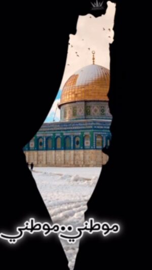 Hind Al Balushi Instagram - لا سواء بيننا وبينكم
قتلانا في الجنة وقتلاكم في النار ..#القدس #غزة#فلسطين #هند_البلوشي #palestine
