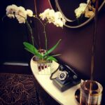 Hoda Saad