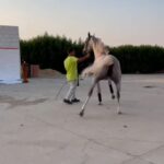 Horeya Farghaly