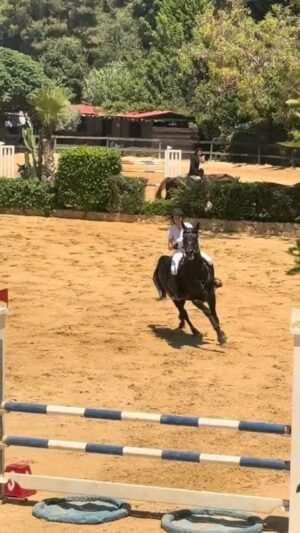 Horeya Farghaly Instagram - طول ما انت عايز مع ربنا انت في امان يا مان 🐴
