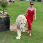 Ibtissam Tiskat