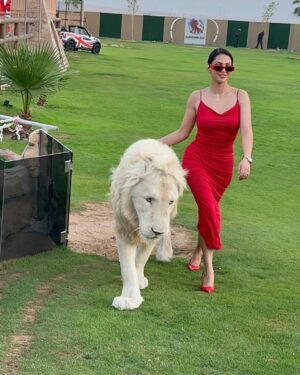 Ibtissam Tiskat Instagram - Bageera ❤️ 

@albuqaish.jungle 
@humaidalbuqaish 

#rdak #love #animals #happy #child #ibtissamtiskat