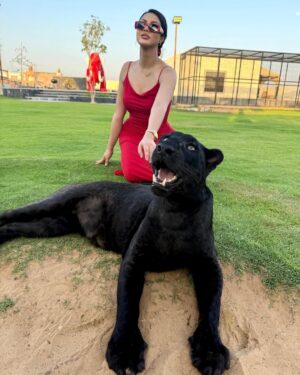 Ibtissam Tiskat Instagram - Bageera ❤️ 

@albuqaish.jungle 
@humaidalbuqaish 

#rdak #love #animals #happy #child #ibtissamtiskat