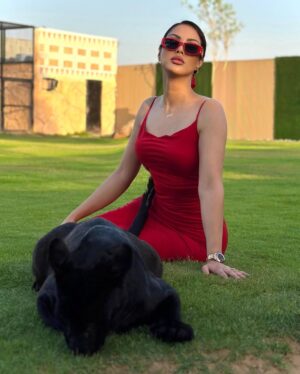 Ibtissam Tiskat Instagram - Bageera ❤️ 

@albuqaish.jungle 
@humaidalbuqaish 

#rdak #love #animals #happy #child #ibtissamtiskat