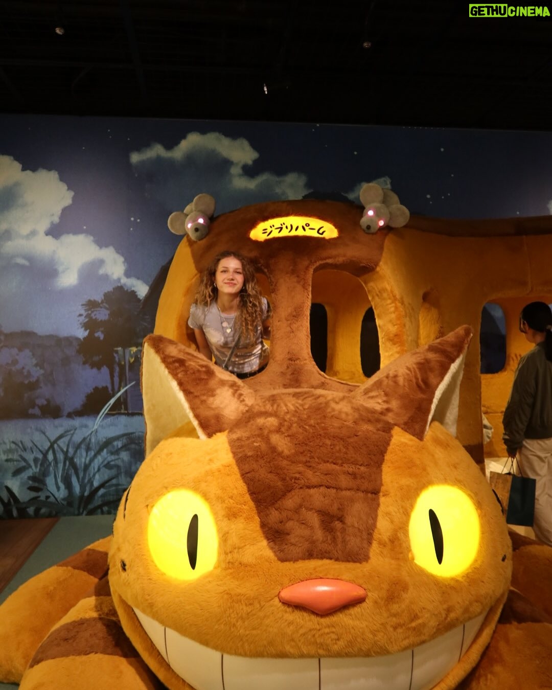 Indi Star - 442 Likes - not to brag but I met catbus today😼