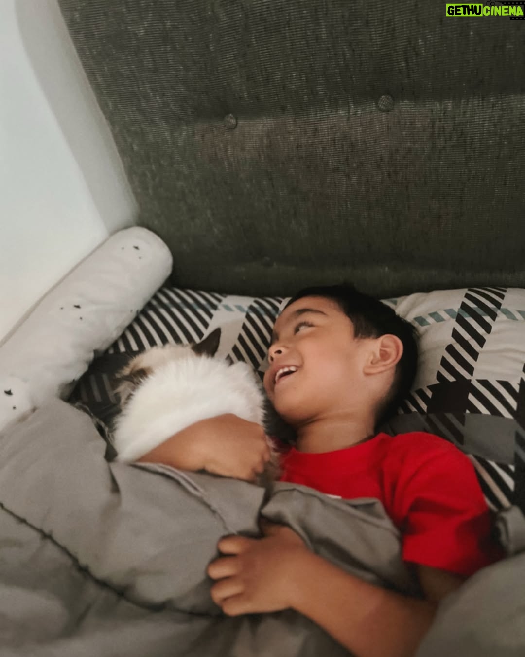 Intan Aletrino - 494 Likes - Things that keep me happy these days:
Work, family, fresh juice & cats āØ
