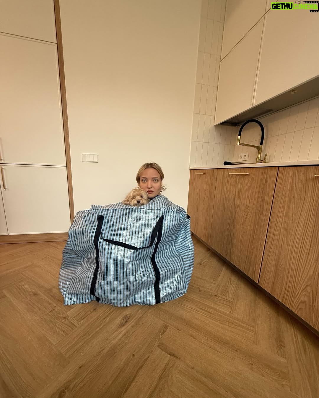 Irina Myagkova - 19.7K Likes - Мы переехали. Знаете, как переводится «ремонт» с латинского? «Ирина, мы не успеваем»😎 так что пока в сумке, в пыли поживем и со строителями.