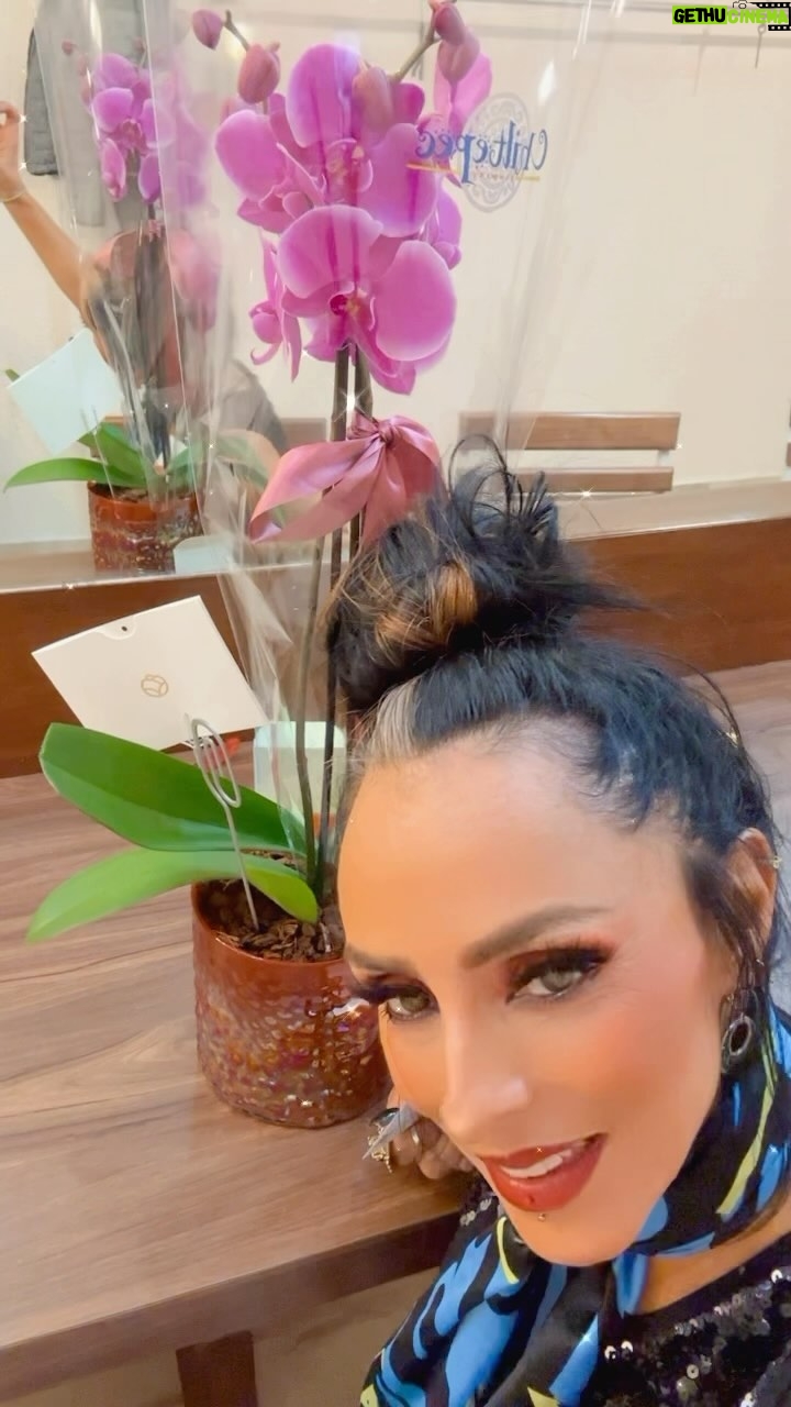Ivonne Montero - 3.9K Likes - Gracias por tanto.. por todo..
y por siempre mi querida @mariajaime850 ESTÁN BELLÍSIMAS MIS ORQUÍDEAS!! Siempre me sonreír más que agradecida.. bendiciones y cariños para ti mi reina!! 🧚🏼🌺🌺🧚🏼
🦋💞🧚🏼💞🦋