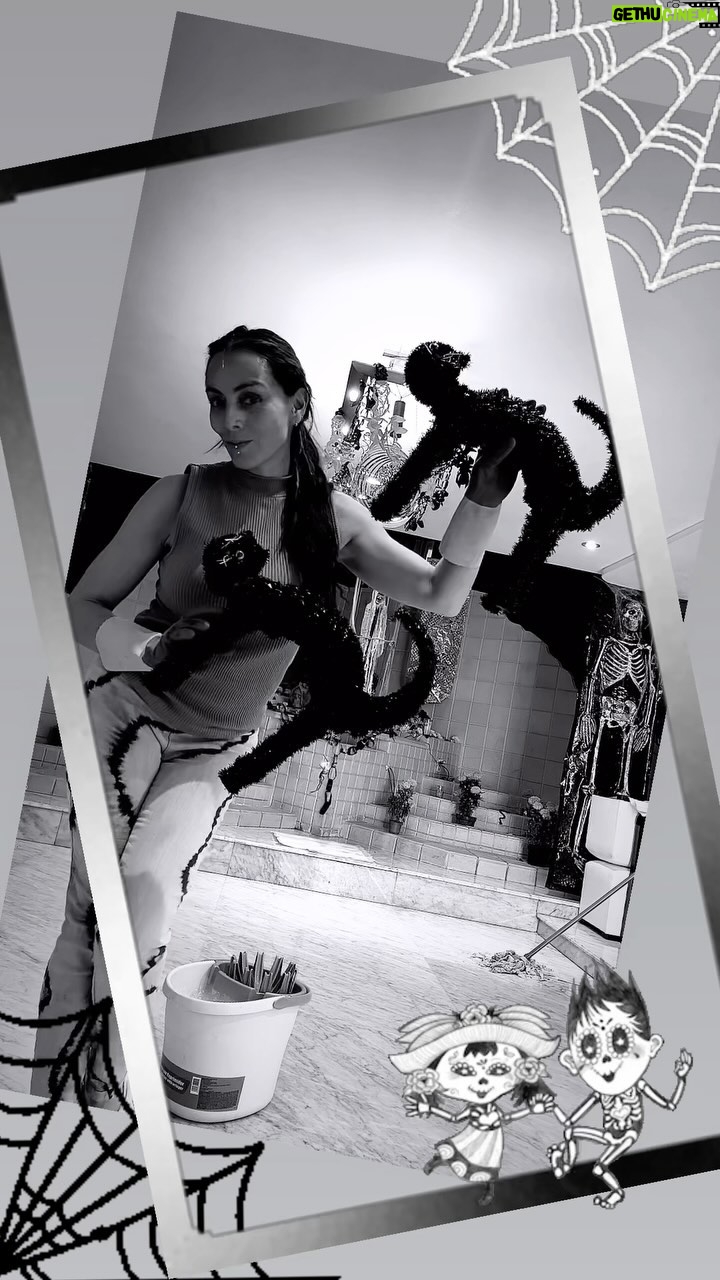 Ivonne Montero - 6.7K Likes - La VIDA sin amigos, festejos, FIESTA y algarabía NO ES VIDA!! 🤭🥳😌🤗
💞💙💀💙💞
#relajensemuchisimo