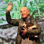 Jane Goodall