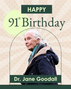 Actress Jane Goodall HD Photos and Wallpapers April 2025