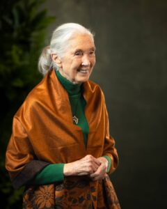 Actress Jane Goodall HD Photos and Wallpapers April 2025