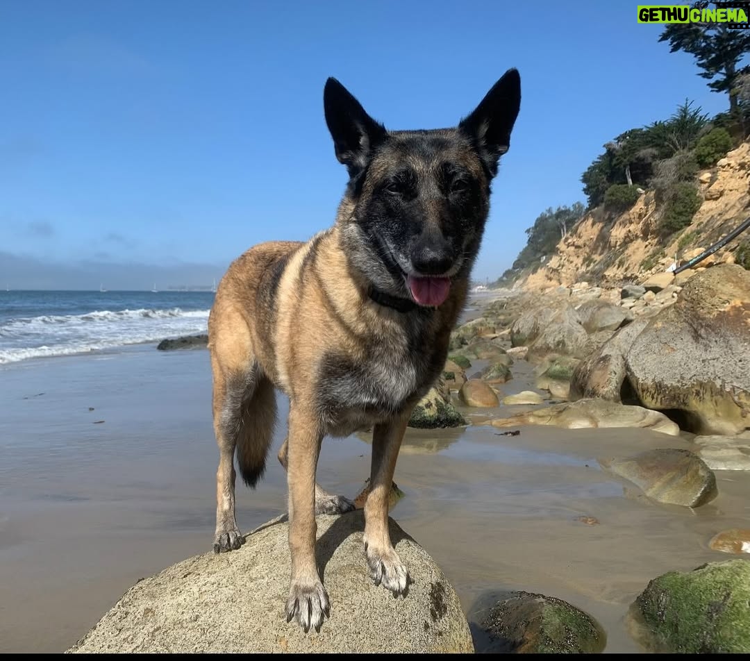 Jane Lynch - 7.6K Likes - We saw eternity in your eyes. Rest now, Mildred.