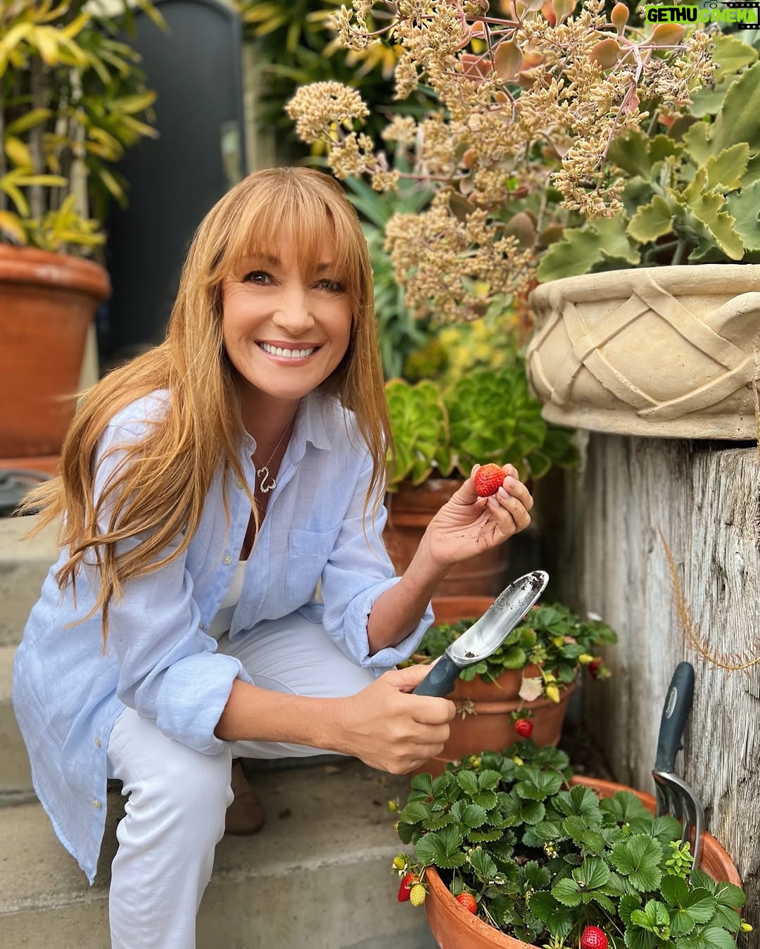 Jane Seymour - 4.9K Likes - Today we celebrate the magic of the garden, where soil meets soul. 🪴 On this #NationalGardeningDay, here’s your gentle reminder: even the tiniest seed holds the potential for a whole forest. 😊 What’s one thing you’re nurturing with love right now? 🫶