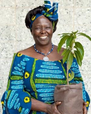 Janet Mbugua Instagram - #InternationalWomensDay - Kenyan Women Of Firsts: 4/4, the final one 🙏🏾

Prof. Wangari Maathai: I can recall first seeing Wangari Maathai on the news in the 90’s. 

As a little girl, her grit and determination made an imprint in my memory, against the inhumane way in which she was being handled, as she fought for Kenya’s soil. I would later keep up to date with where she was and what she was doing, quietly following her journey and staying enamored by her. 

So when I met her face to face for the first time in 2009, a year after reading her memoir Unbowed, it’s the first time I’ve ever been struck to the point of babbling. I finally managed to say, “You mean a lot. To say many of us. I’m a Journalist, I was on KTN”. “Yes Janet, I think I’ve watched you”. And I was good from then on 😃 

Seriously, I might not have stayed in advocacy/ activism were it not for the reminder that the fight for our rights, as women, as gatekeepers of our environment, for all human rights, is something that that we have to keep doing; and we do what we can in our own little way (her story of the Hummingbird) to keep going. I consider her one of the most influential figures in my life. Here’s to giving her her flowers 💐

#Trailblazer #Authenticity #Empowerment #TotalWoman #IWD2024 #InspireInclusion #UnapologeticallyWoman #ItsOfficialWithJanetMbugua 

Concept by @brianbabu and @officialjanetmbugua
Dress by @el_afrique_ 
Bouquet curated by @florabyendo 
Shoes from @_theshoeboutique_ 
Styled by @brianbabu assisted by @lebaweru Makeup by @mokeriaoyaro_makeup 
Hair by @rickykish 
Photographed by @holyziner Assistant: @nalaayieta BTS video: @faithhuini 
Shot at @nit_studio
