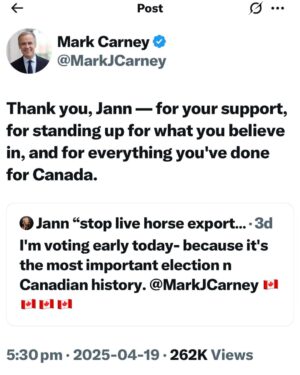 Jann Arden Instagram - What a great message to wake up to! @markjcarney..... also- great punctuation!! 🤩