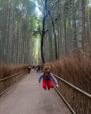 Javiera Contador Instagram - El 6 de Febrero nació Don Theo
El niño aventurero.
Para viajar un super compañero.
Entre esos rulos aparecen 1000 historias 
Sensible, impaciente y con buena memoria.
Goloso, bueno pa dormir y malo pa despertar
Siempre tiene algo nuevo por conquistar.
El mas chico de la familia.
El que a un peluche siempre auxilia.
Todavía agarradito de la mano
Celebramos tus primero 10 años!!
Larga y feliz vida rusio hermoso!! ❤️❤️❤️
Te amo.