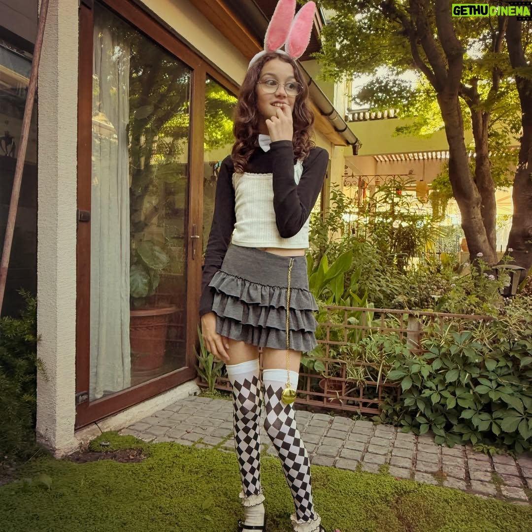 Javiera Contador - 35.3K Likes - Halloween 2024!!
Me van a disculpar pero encuentro que el disfraz de la criatura me quedó iguolsss. š
Theo de Gus de Sweet Tooth
Mila de conejo de Alicia en el Pais de las Maravillas
Diego de pƔsame algo rƔpido
Javi de se me perdió la mascara que querĆa usar y tuve que improvisar.
#Jalouins #Family #SobredosisDeAzucar